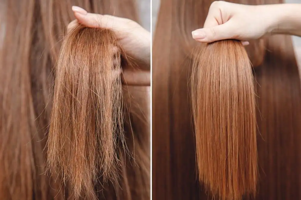 Best Anti-Frizz Treatments for Florida Humidity