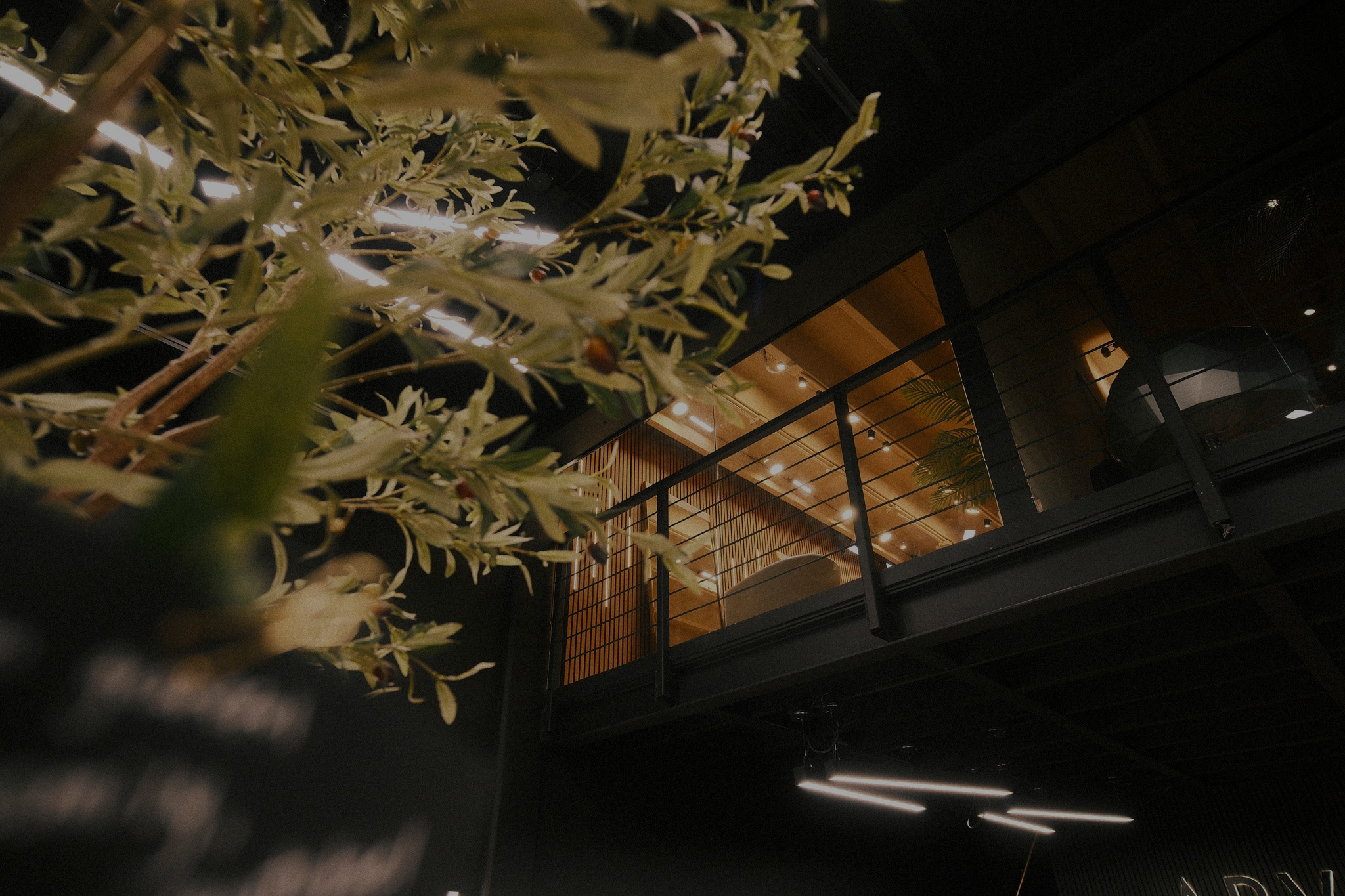 Plant and mezzanine view inside Arvel Hair salon, Miami
